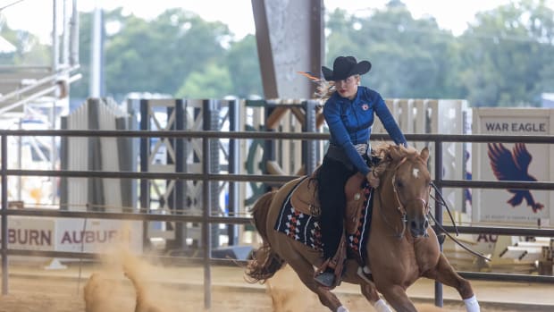 Auburn Equestrian